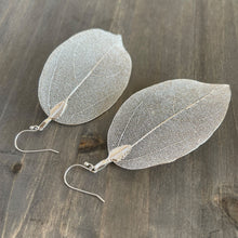 Load image into Gallery viewer, Real Leaf Sterling Silver Earrings