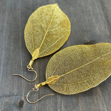 Load image into Gallery viewer, Real Leaf Gold Earrings