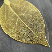 Load image into Gallery viewer, Real Leaf Gold Earrings